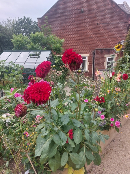 St Wilfrid's Community Garden